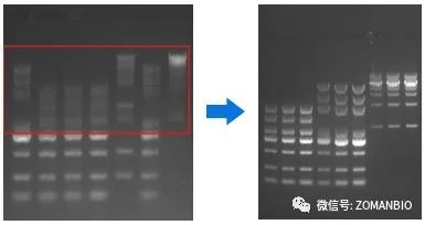 22.6 大marker分不開(kāi)問(wèn)題圖.jpg 圖片