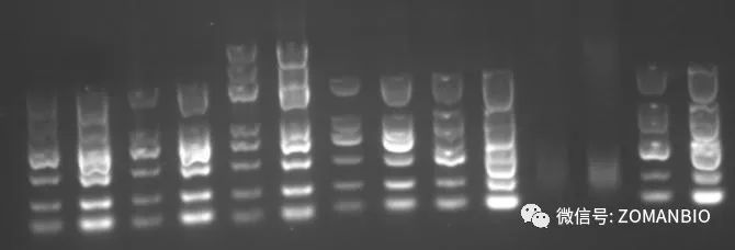 22.6不同廠(chǎng)家效果圖.jpg 圖片