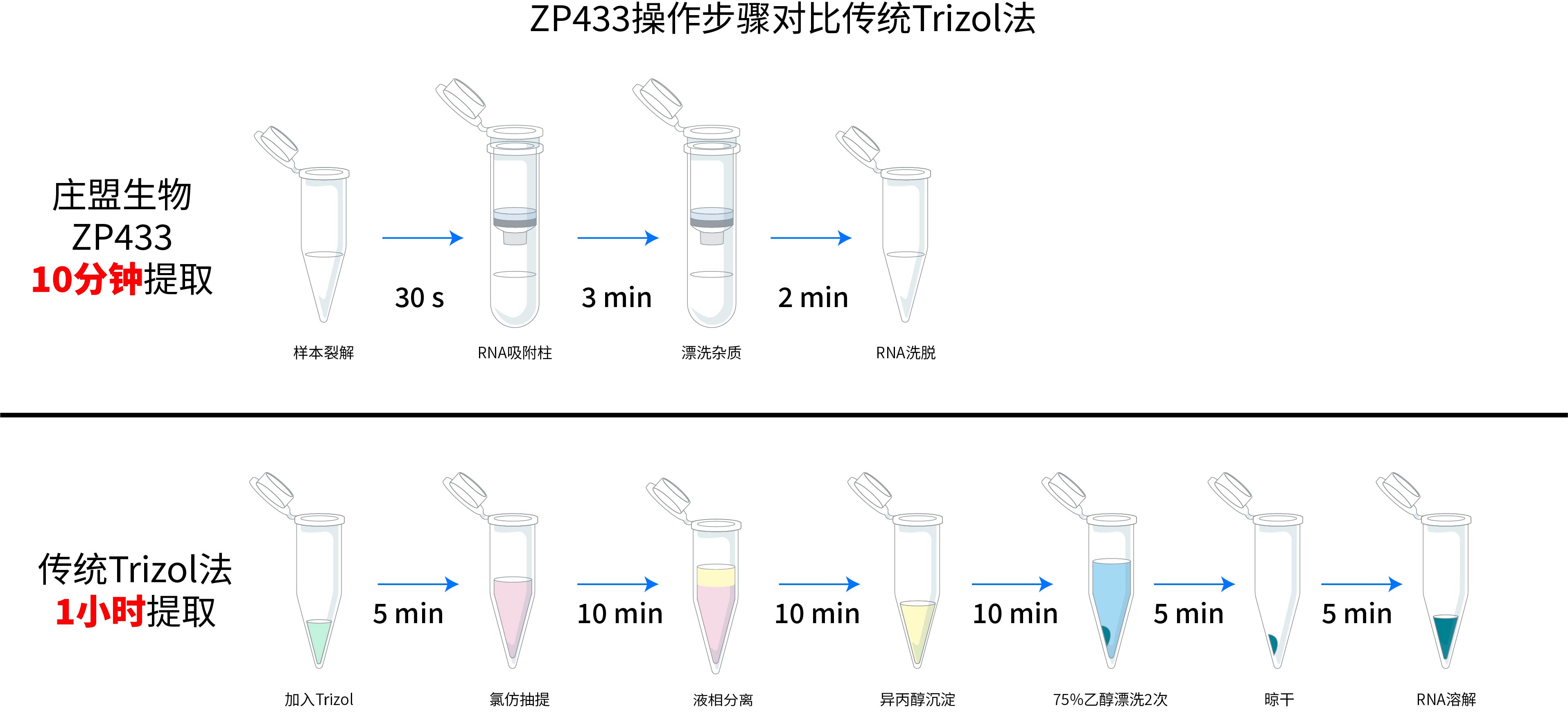 ZP441實(shí)驗步驟與Trizol對比-02.jpg